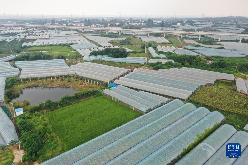 百老汇游戏app